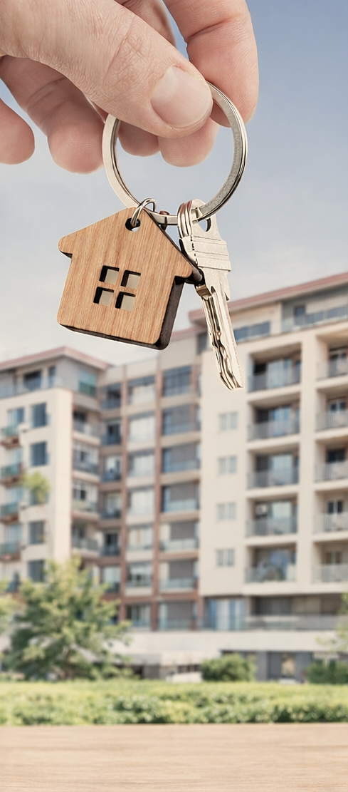 Le dispositif Jeanbrun